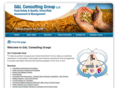 gandlconsulting.com