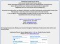tallahasseeprocessserver.com