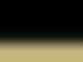 andrecookministries.com