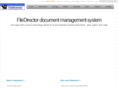 filedirector.info
