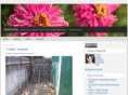 getsheila.com