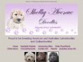 mylabradoodles.com