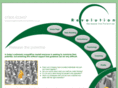 revolutionconsultancy.com