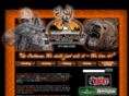thesouthernsportsman.com