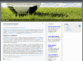 torneodescentralizado.com