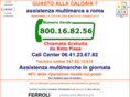 assistenzacaldaieferroli.com