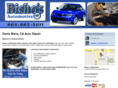 bishosradiatorservice.com