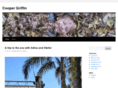 coopergriffin.com