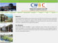 cwbconsultant.com
