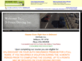 dfencedriving.com