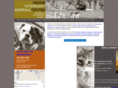 maineveterinaryreferralcenter.com