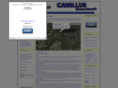 camillushomesearch.com