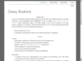 careybudnick.com
