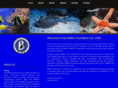 nabsf.org