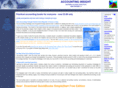 accountinginsight.com