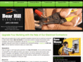 bearhillelectric.com