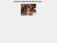 cavaliersinspain.com