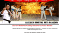 lakeviewmartialarts.com