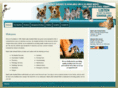 sandlakeanimalclinic.com
