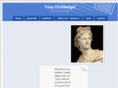 tonyeichberger.net