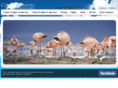 convextravel.com.au