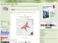creative-art-design.com
