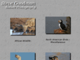 goodmanphotos.com