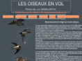 oiseaux-en-vol.com