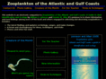 zooplankton-online.com