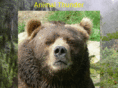 animalthunder.com