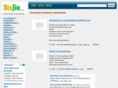 bizjin.com