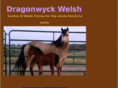 dragonwyckwelsh.com