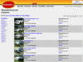 miamiautoline.com