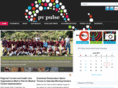 pvpulse.com