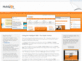 blue-mtn-agency.com