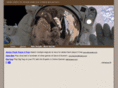 sendchris2space.com