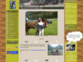 stall-liverudmoen.com