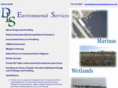 dlsenvironmentalservices.com