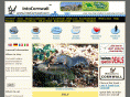 intocornwall.com