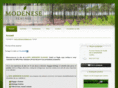 modenese-elagage.com
