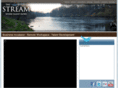 newaygostream.com