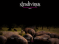 stradivinus.com