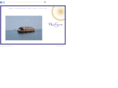 neeliyam.com
