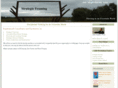 strategicframing.com