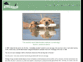 wetdogsdesign.com