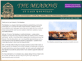 meadowsvermont.com