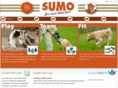 sumodealer.com