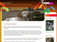 amicisetter.com