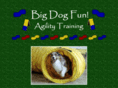 bigdogfun.net
