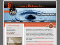 cemerynelson.com